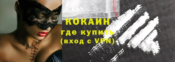 прущие грибы Армянск