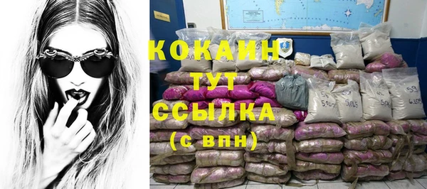 прущие грибы Армянск