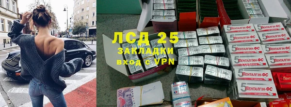 прущие грибы Армянск